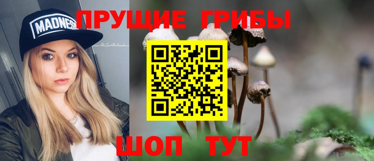 Псилоцибиновые грибы ЛСД  Вход с VPN  Псилоцибиновые грибы Psilocybine cubensis  Канаш 