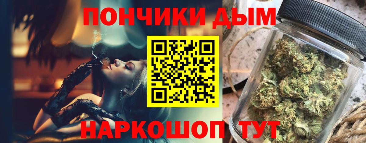 Канабис семена Канаш